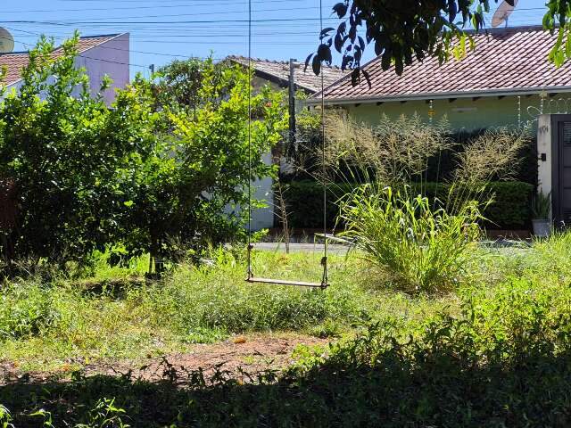 Ap&oacute;s dois anos, situa&ccedil;&atilde;o de pra&ccedil;as no Arnaldo Estev&atilde;o piora com mato alto