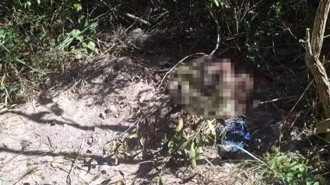 Casal encontra corpo de rapaz enterrado de cabe&ccedil;a para baixo em mata