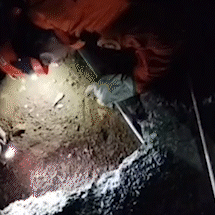 Cadela &eacute; salva ap&oacute;s ficar horas presa em espa&ccedil;o estreito sob estrutura de casa
