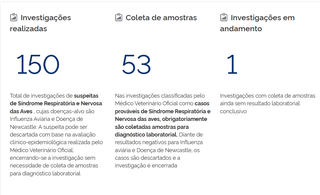 Com suspeita em MS, investigar gripe avi&aacute;ria &eacute; &ldquo;rotina&rdquo;, explicam avicultores
