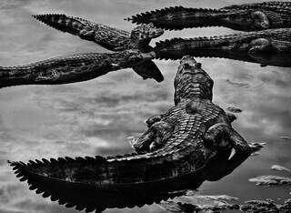 Sebasti&atilde;o Salgado morre aos 81 anos e o mundo perde um olho que sabia ouvir