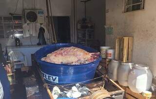 Abate clandestino de animais doentes fornecia 2 toneladas de carne a a&ccedil;ougue