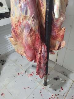 Abate clandestino de animais doentes abastecia a&ccedil;ougue em MS
