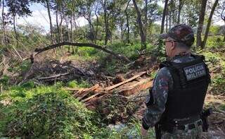 PMA aplica multa de R$ 25 mil por desmate ilegal e apreende pescado irregular PMA aplica multa de R$ 25 mil por desmate ilegal e apreende pescado irregular