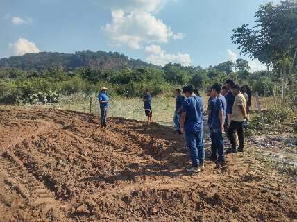 Ind&iacute;genas de Aquidauana iniciam projeto de recupera&ccedil;&atilde;o florestal