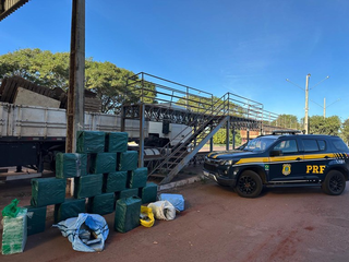 Maior apreens&atilde;o do ano intercepta 676 quilos de coca&iacute;na em rodovia