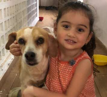 Menina sofre com sumi&ccedil;o de cadela h&aacute; cinco dias e m&atilde;e faz apelo por ajuda