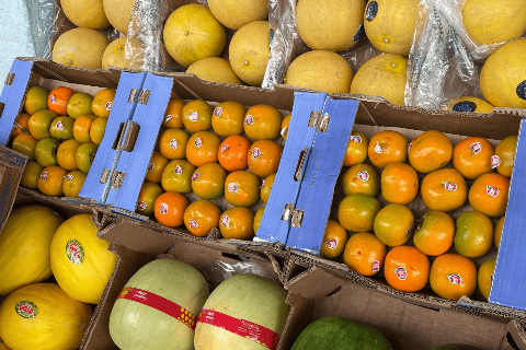 &Eacute; hora de comer caqui e deixar o morango de lado, recomenda Ceasa