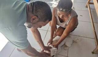 Cadelas enfrentam on&ccedil;a-pintada e salvam poodle de ataque