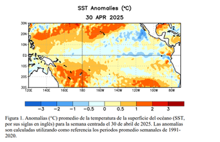 Condi&ccedil;&atilde;o que aumenta risco de seca e inc&ecirc;ndios no Pantanal se prolonga em 2025