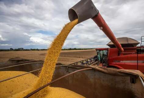 San&ccedil;&atilde;o ao STF pode agravar rela&ccedil;&otilde;es do Brasil com EUA e respingar no agro de MS