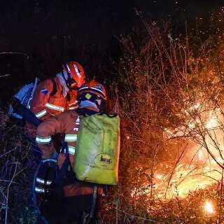 Condi&ccedil;&atilde;o que aumenta risco de seca e inc&ecirc;ndios no Pantanal se prolonga em 2025