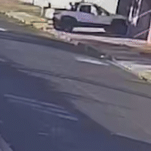 Cadelinha com leishmaniose desaparece ap&oacute;s escapar por port&atilde;o autom&aacute;tico
