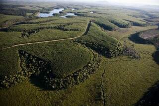 &Aacute;rea de f&aacute;brica de celulose ter&aacute; 1,2 mil hectares de reserva particular 