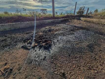 Suspeito de matar m&atilde;e e filha &eacute; preso ao tentar registrar desaparecimento