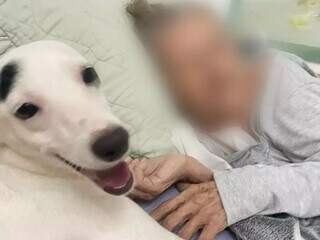 Neta busca por Bella, c&atilde;o que ajudava av&oacute; durante crises de Alzheimer