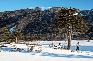 Descubra lugares no Chile para curtir neve até o fim do inverno Descubra lugares no Chile para curtir neve até o fim do inverno