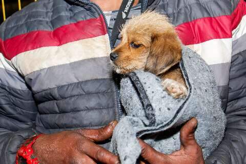 Moradores de rua e pets ganham ponto de apoio em meio a frente fria