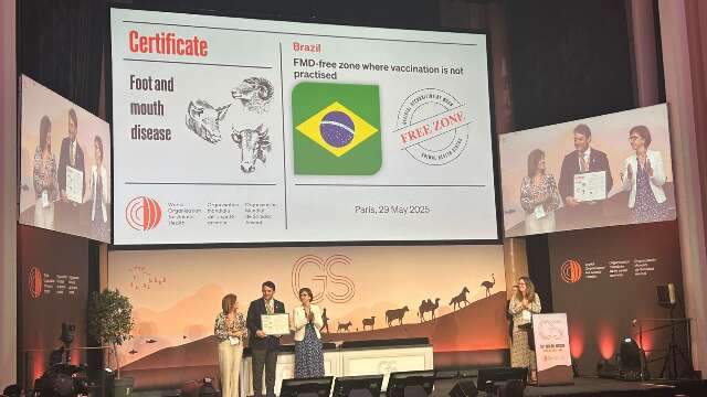 MS recebe certificado internacional de área livre da aftosa sem vacinação