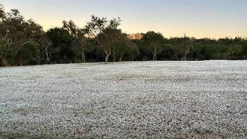 MS tem risco de geada e m&iacute;nimas de 3&ordm;C nesta sexta-feira