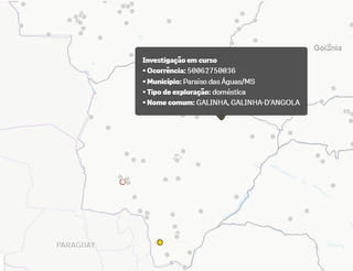 Galinha d&rsquo;angola &eacute; 4&ordf; suspeita de gripe avi&aacute;ria em MS