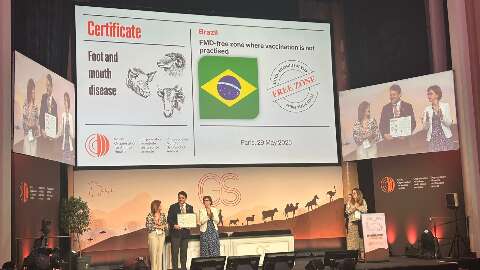 MS recebe certificado internacional de &aacute;rea livre da aftosa sem vacina&ccedil;&atilde;o