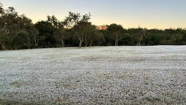 MS tem risco de geada e m&iacute;nimas de 3&ordm;C nesta sexta-feira