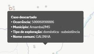 MS descarta suspeita de gripe avi&aacute;ria em Amambai