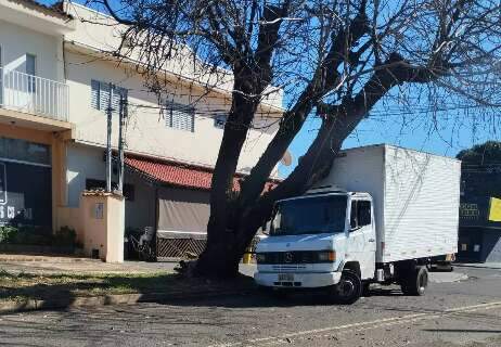 &Aacute;rvore cai sobre caminh&atilde;o estacionado no Jardim Leblon