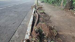 Ladr&atilde;o se supera, furta fios subterr&acirc;neos de 42 postes e deixa 3 km sem luz