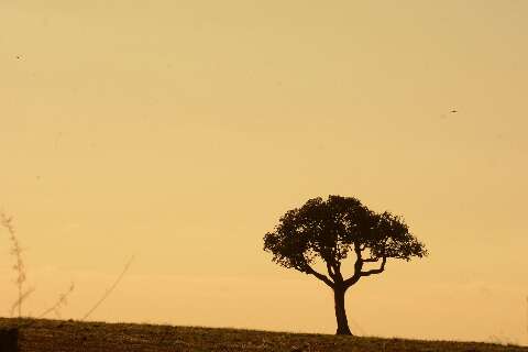 Junho ser&aacute; de clima seco em Mato Grosso do Sul, aponta Inmet