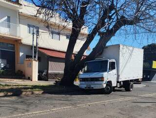 &Aacute;rvore cai sobre caminh&atilde;o estacionado no Jardim Leblon