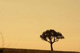 Junho ser&aacute; de clima seco em Mato Grosso do Sul, aponta Inmet