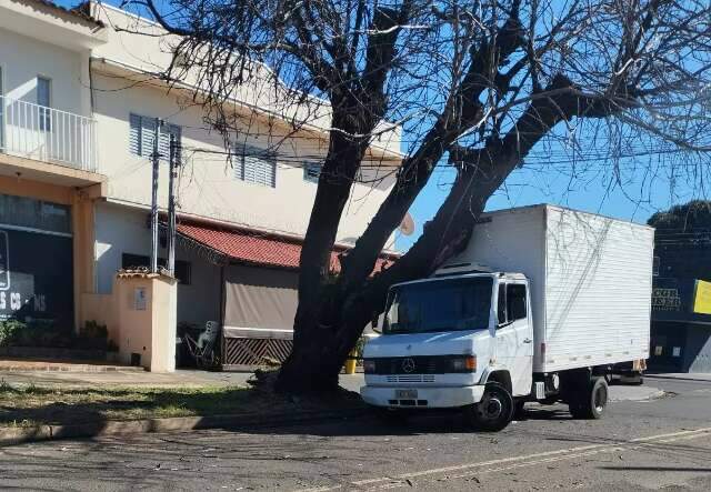 &Aacute;rvore cai sobre caminh&atilde;o estacionado no Jardim Leblon