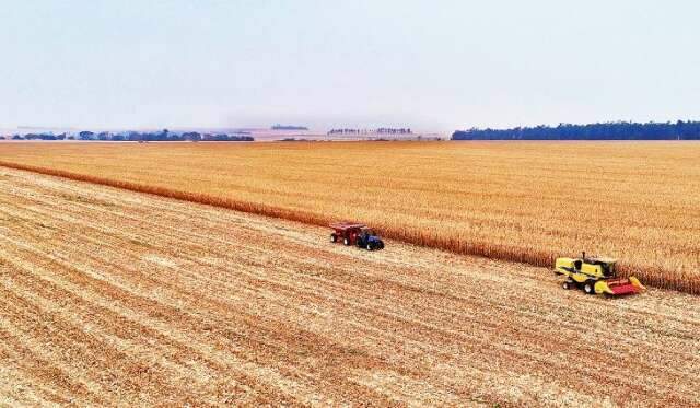 Produtor rural &eacute; a profiss&atilde;o que mais ganha em MS