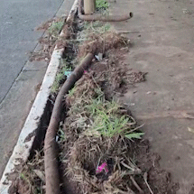 Ladr&atilde;o se supera, furta fios subterr&acirc;neos de 42 postes e deixa 3 km sem luz