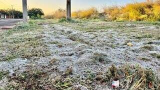 Cen&aacute;rio de geada toma conta de 14 munic&iacute;pios de MS nesta sexta-feira