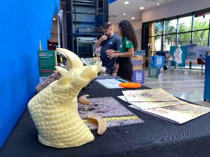 Exposi&ccedil;&atilde;o sobre tatu-canastra e tamandu&aacute;-bandeira come&ccedil;a neste s&aacute;bado