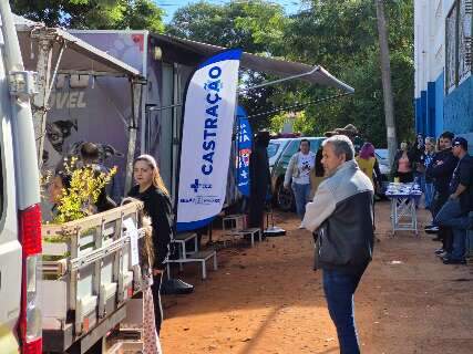 Servi&ccedil;os de RG, castra&ccedil;&atilde;o e doa&ccedil;&atilde;o de mudas movimentam mutir&atilde;o em escola 