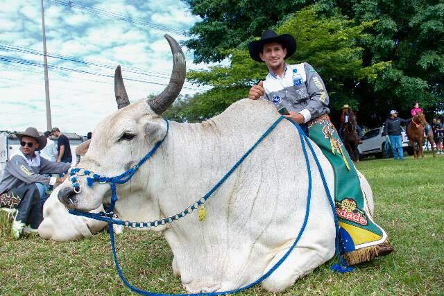 B&uacute;falos, bois e &eacute;guas: animais &#039;sem pre&ccedil;o&#039; roubam a cena em cavalgada