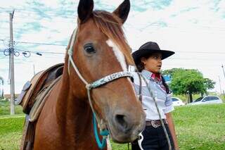 B&uacute;falos, bois e &eacute;guas: animais &quot;sem pre&ccedil;o&quot; roubam a cena em cavalgada