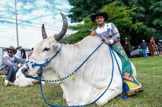 B&uacute;falos, bois e &eacute;guas: animais &quot;sem pre&ccedil;o&quot; roubam a cena em cavalgada