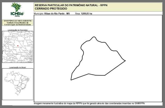 Instituto analisa cria&ccedil;&atilde;o de reserva ambiental de 1,2 mil hectares da Suzano