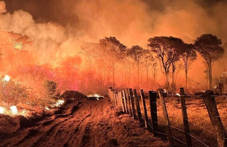 C&acirc;mara endurece puni&ccedil;&atilde;o contra inc&ecirc;ndios ap&oacute;s crise no Pantanal