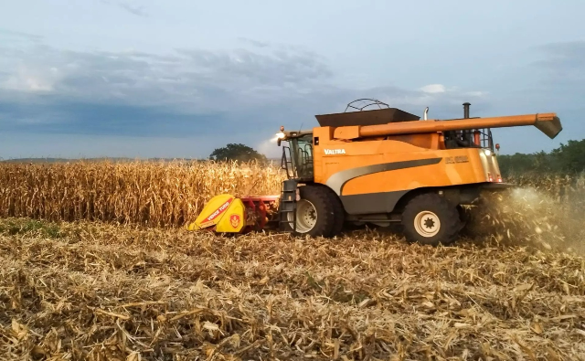 Após retração em 2024, PIB do Agro em MS deve bater recorde, com alta de 13,5%