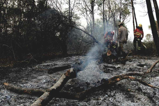 C&acirc;mara endurece puni&ccedil;&atilde;o contra inc&ecirc;ndios ap&oacute;s crise no Pantanal