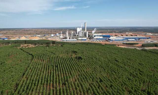 Boom da celulose atrai estrangeiros e eleva pre&ccedil;o da terra em at&eacute; 62,7% em MS