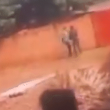 V&iacute;deo flagra sargento da PM agredindo homem algemado