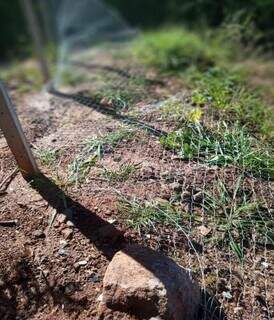 Juiz impede prefeitura de abrir via em terreno para escoar &aacute;gua no Noroeste