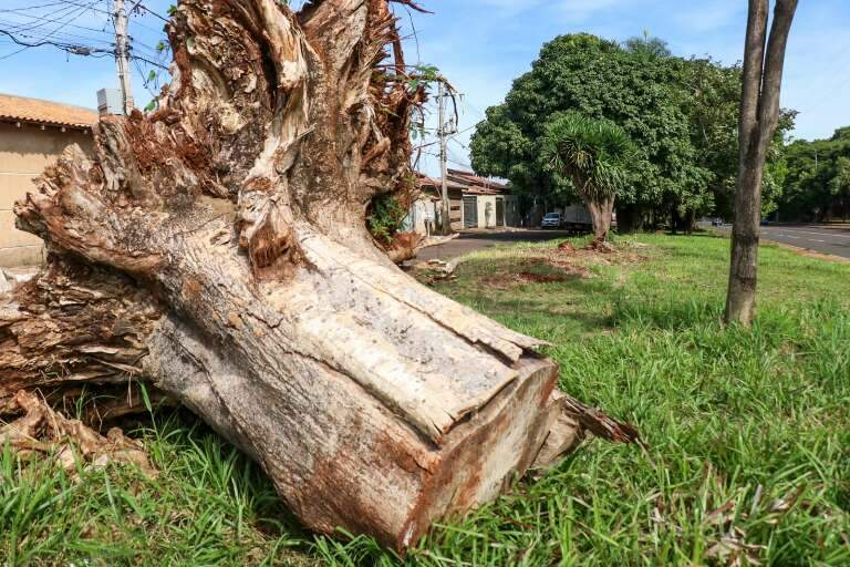 Campo Grande News